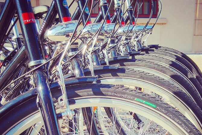 2 1/2h Guided Bicycle Tour Discover Heidelberg - Pace, Group Size, and Language: How the Ride Feels in Real Life
