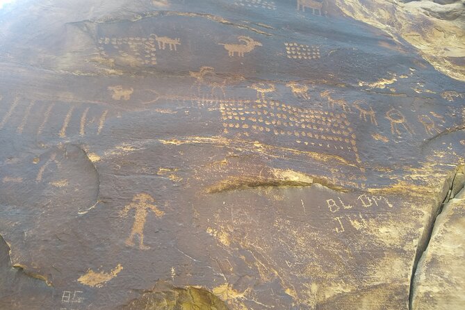 2 hour Moab Ebike Petroglyph Tour - Moonflower Canyon: river-edge petroglyphs and how to read them