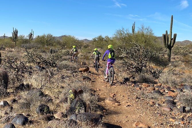 2 Hour Sonoran Desert Private Guided Mountain Bike Tour - Key Things to Know Before You Pedal Into the Desert