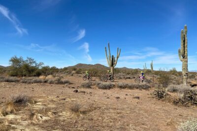 2 Hour Sonoran Desert Private Guided Mountain Bike Tour - The Bike Setup: Front Suspension Plus Disc Brakes