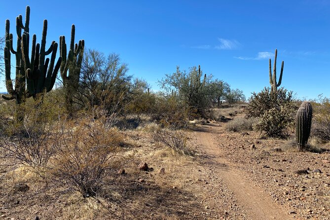 2 Hour Sonoran Desert Private Guided Mountain Bike Tour - Fitness and Skill: Who This Tour Fits Best