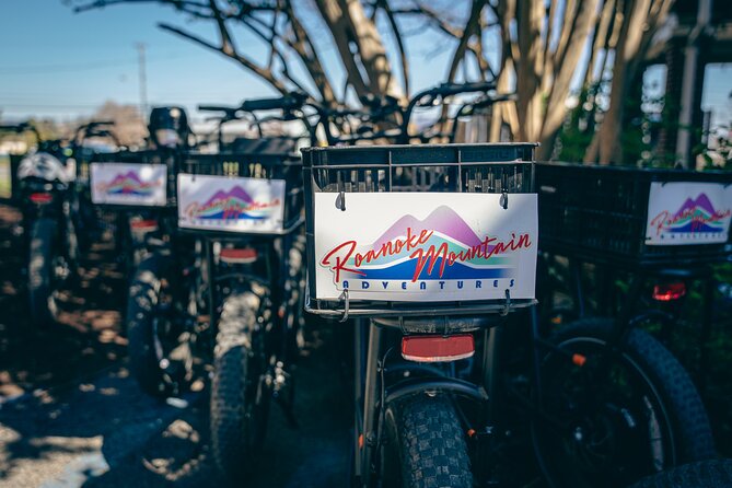 3-Hour E-Bike Sightseeing and Breweries Tour in Roanoke - Golden Cactus Brewing: Cactus Courtyard Energy and Quick Bites