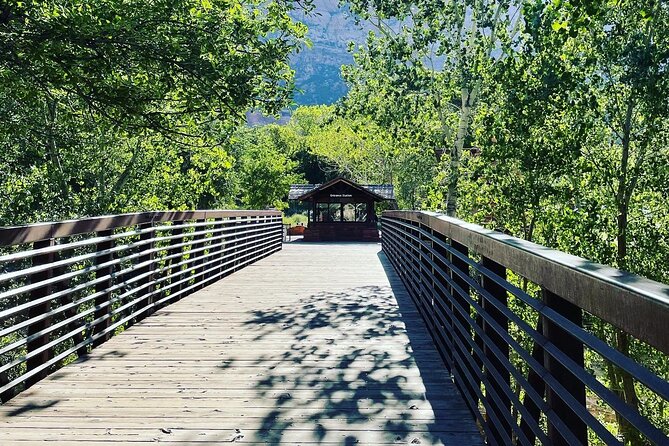 3 Hour Guided E Bike Tour in Zion National Park - Starting in Springdale: parking, check-in, and an easy launch