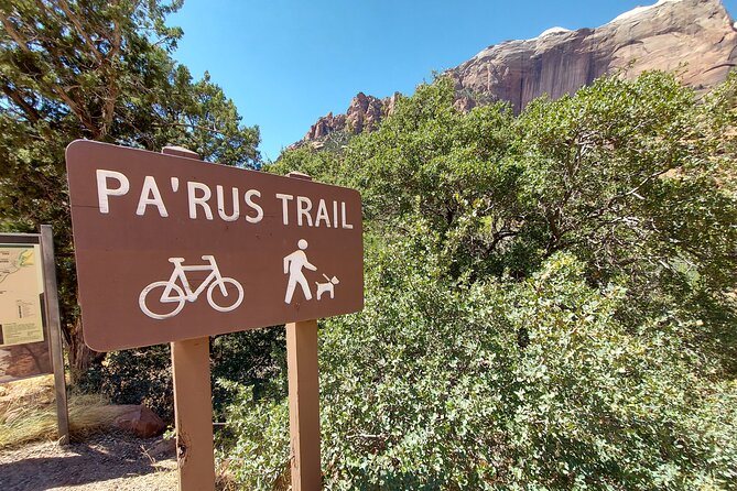 3 Hour Guided E Bike Tour in Zion National Park - Practical stuff you should plan for: helmets, snacks, and what not to bring