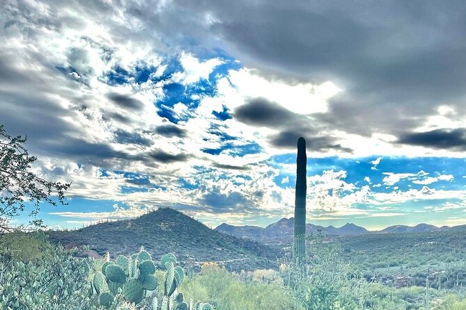 3 Hour Sonoran Desert Private Guided Mountain Bike Tour - Sonoran Desert by Bike: What These 3 Hours Feel Like