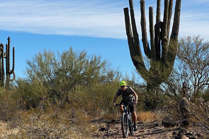 3 Hour Sonoran Desert Private Guided Mountain Bike Tour - Bikes, Helmets, Gloves, and the Stuff You’ll Be Glad They Bring