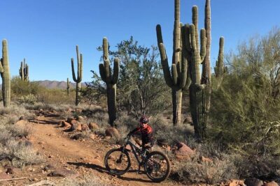 3 Hour Sonoran Desert Private Guided Mountain Bike Tour - Meeting at 28777 N Pima Rd: Start Smooth, Not Stressful