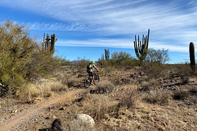 3 Hour Sonoran Desert Private Guided Mountain Bike Tour - Photo Stops, Cacti Spotting, and Learning What You’re Actually Riding Through