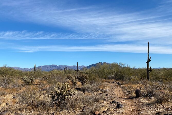 3 Hour Sonoran Desert Private Guided Mountain Bike Tour - What’s Included (and Why That Changes the Value)