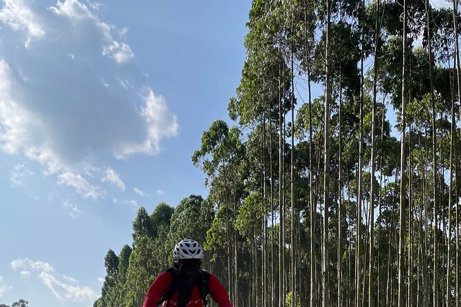 3 Hours Guided Cycling Tour Across Lake Victoria - Guide Zaga and the group flow with up to 30 cyclists