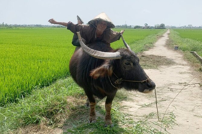 3 Hours Hoi An Countryside Bicycle Tour - Meet your guide: the Mr Quy difference