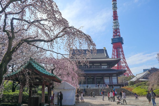 5-Hour Tokyo & Edo Hidden Gem Bike Tour with Lunch - The Tokyo experience you get on two wheels
