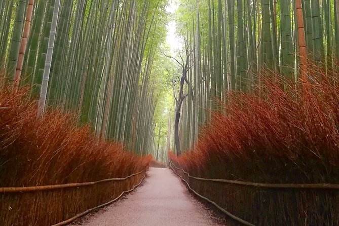 5 Top Highlights of Kyoto Full Day Bike Tour (E-bike option) - Stop 1: Bamboo Forest Street and the Soundscape Moment