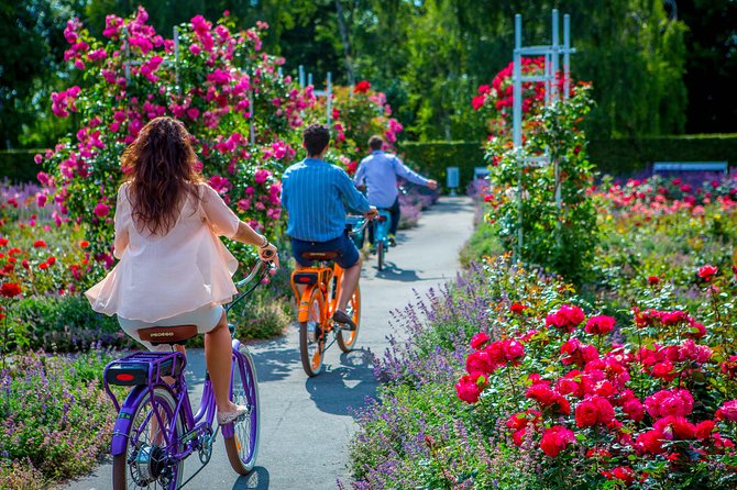 7 BEST VIEWS - PRAGUE eBIKE TOUR - Petrin Park: Views, the Fake Eiffel Moment, and a Real Hilltop Pause