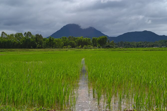 Adventure Bike Tour from Hoi An - Food and the Small-Group Advantage You’ll Feel Immediately