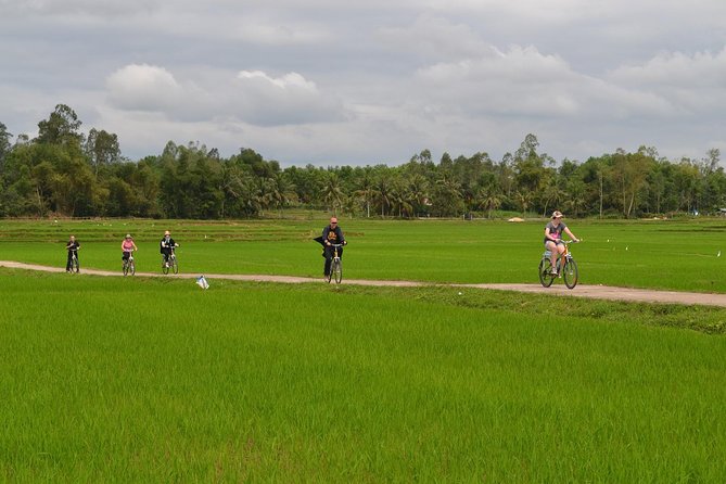 Adventure Bike Tour from Hoi An - The Route Starts With a Local Ferry, Then Turns Into Rice Country