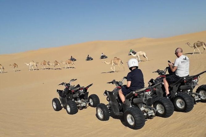 Adventure quad bike tour ( 2 hour private quad biking to deep desert ) - Price and value: is $223 for a private 2-hour quad ride fair?