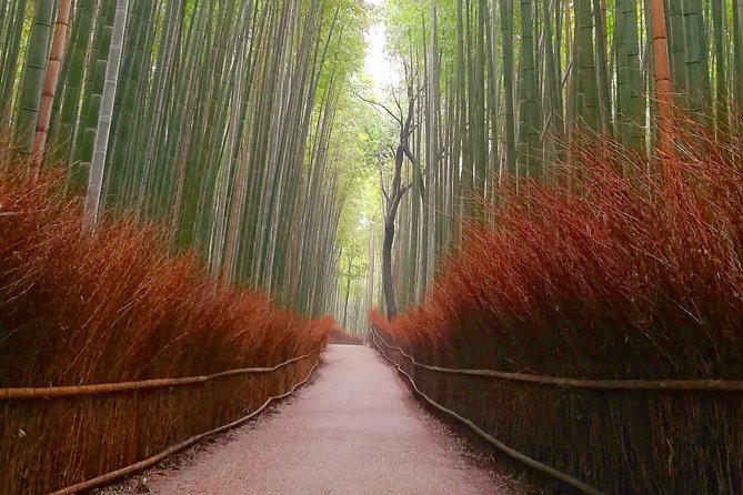 Afternoon Kyoto Bike Tour: Bamboo Forest, Monkeys & Hidden Spots - Bamboo Forest Street: Sounds, Photos, and a Better Way to Beat the Crowds
