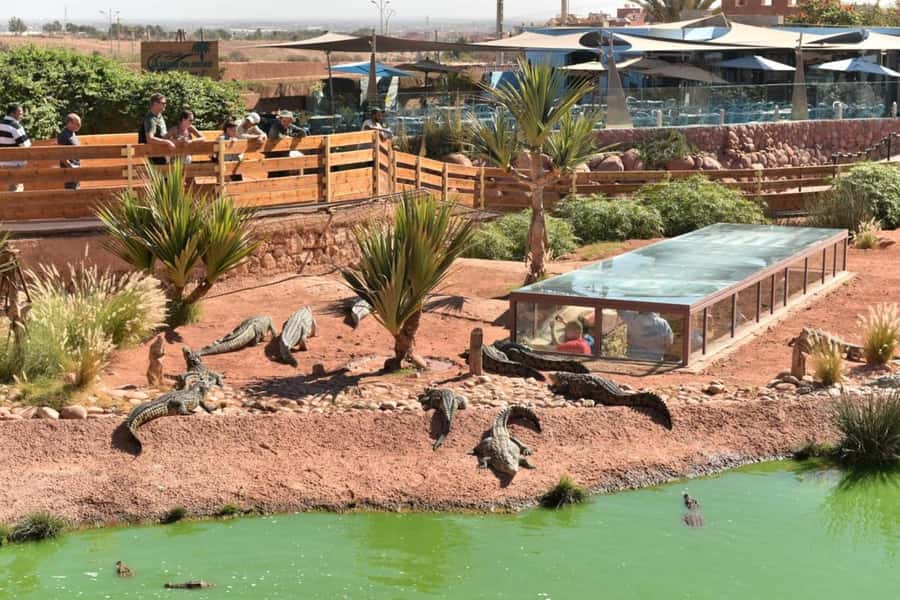 Agadir: Quad Safari with Crocoparc Optional - Who this quad safari suits best in Agadir