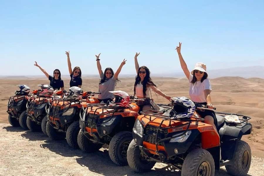 Agadir: Quad Safari with Crocoparc Optional - The goats in argan trees: your best photo stop