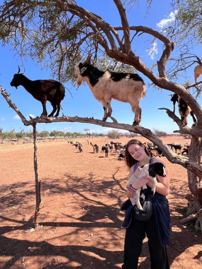 Agadir: Quad Safari with Crocoparc Optional - Price and value: is $29 per person a good deal?