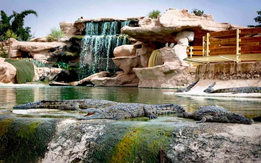 Agadir: Quad Safari with Crocoparc Optional - Safety and gear: what you get before the quad fun