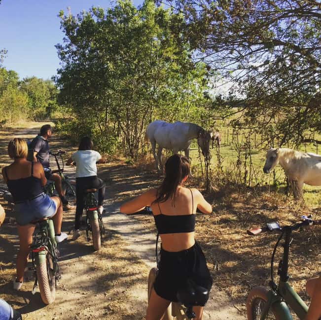 Aigues Mortes: safari en vélo - Ebike tour in Camargue - Why an e-bike safari out of Aigues-Mortes is such a smart fit