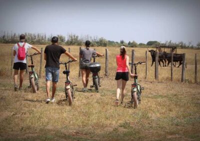 Aigues Mortes: safari en vélo - Ebike tour in Camargue - How the 150-minute ride stays easy (and why that matters)