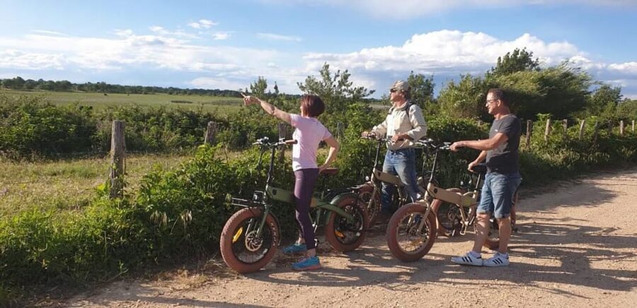Aigues Mortes: safari en vélo - Ebike tour in Camargue - Who this Camargue e-bike safari is best for (and who should skip it)
