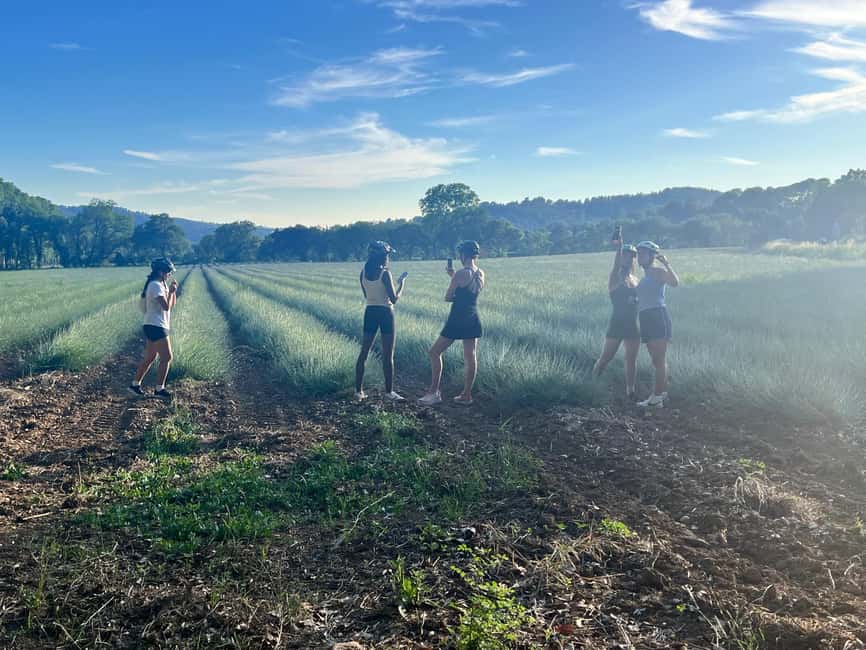Aix-en-Provence: E-Bike Tour of Mount Sainte-Victoire - Quick hits before you pedal