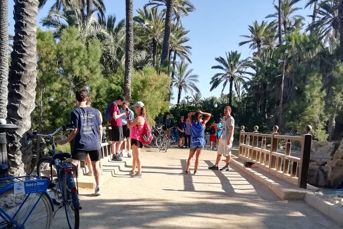 Alicante Highlights Bike Tour (min 2 people to book) - Bike-friendliness and bike quality: the real-world check