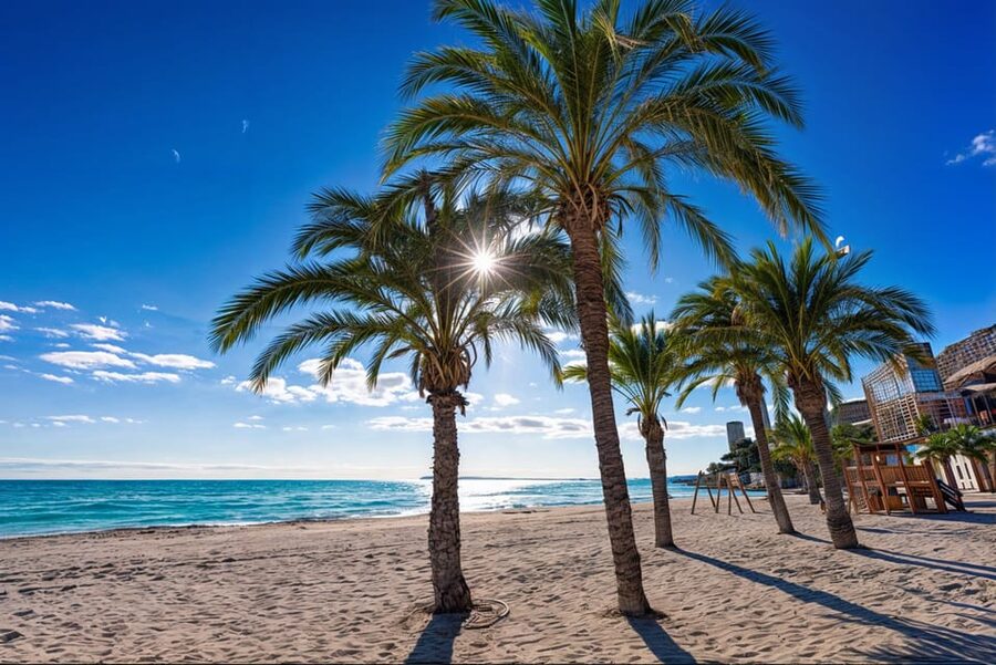 Alicante: Spot the Mediterranean by E-bike - The 2-Hour Plan: What the Timing Usually Feels Like