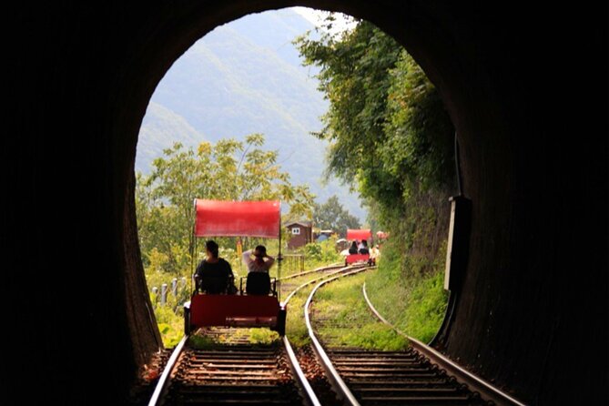 Alpaca World and Nami Island with Gangchon Rail Bike Tour - Should You Book This Alpaca World, Nami Island, and Rail Bike Tour?