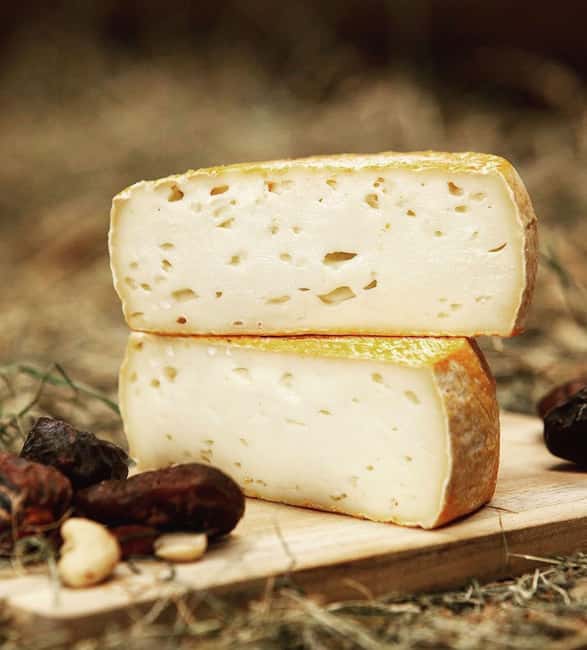 Amsterdam: Cheese Tasting, Windmill & Countryside Bike Tour - Price and value: is $46 a fair deal for 3 hours?