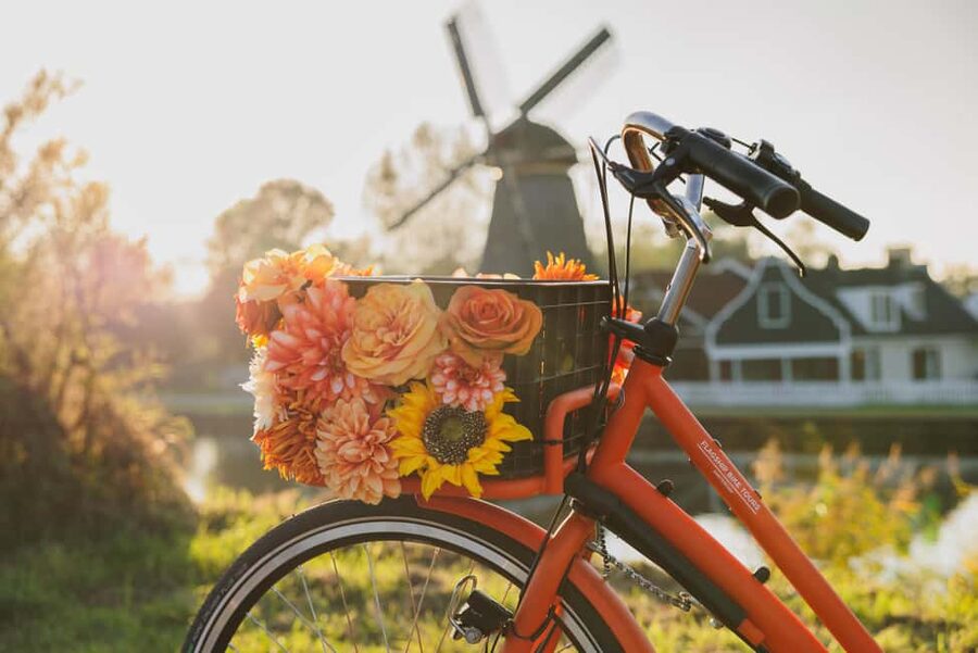 Amsterdam: Cheese Tasting, Windmill & Countryside Bike Tour - Should you book this Amsterdam cheese and countryside bike tour?