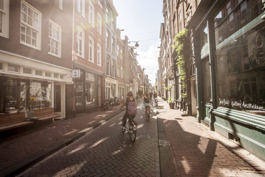 Amsterdam: Hidden Gems & Highlights Guided Bike Tour - Price and value: what $44 gets you in practical terms