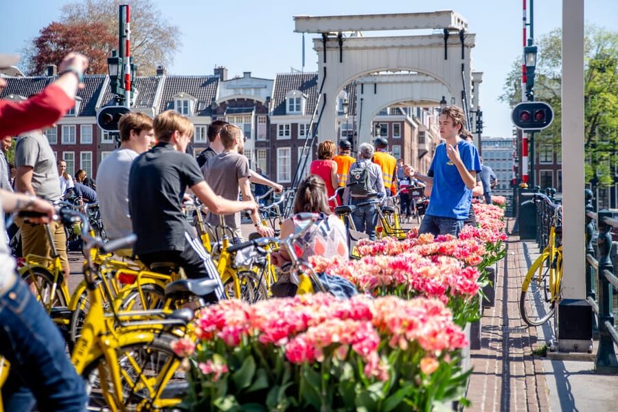 Amsterdam: Relaxed City Highlights Guided Bike Tour - Who This Tour Fits Best (And Who Should Skip It)