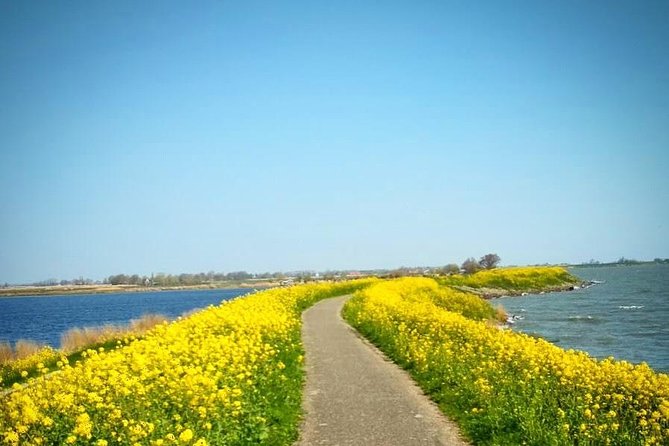 Amsterdam's Countryside Half-Day Bike Tour in Small Group - Why Waterland by Bike Beats Another Amsterdam Day