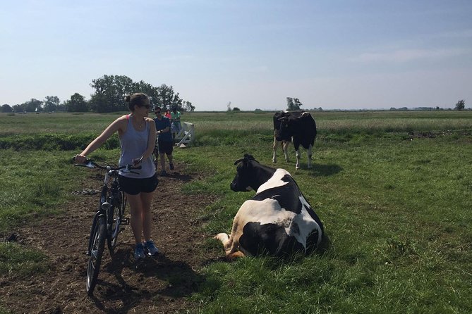 Amsterdam's Countryside Half-Day Bike Tour in Small Group - Polders, Farmlands, and the Dutch Below-Sea-Level Life
