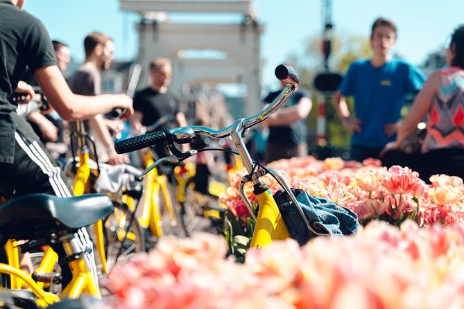 Amsterdam Small Group Bike Tour - Key Things You’ll Notice on This Amsterdam Bike Tour