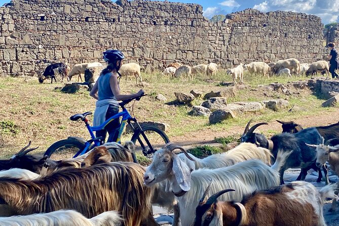 Appian Way & Aqueducts small group e-bike tour(catacombs & food) - Porta San Sebastiano: imperial gates, Roman walls, and quick high views