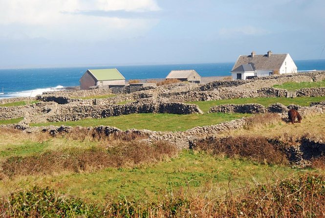 Aran Islands Bike Tour with Tea and Scones from Galway - Key highlights worth waking up for