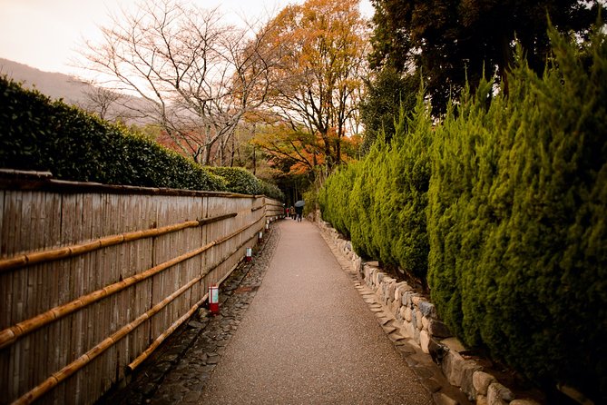 Arashiyama Bamboo Forest E-Biking Tour - Tōji-in Moss Temple: Quiet Time That Breaks the Day