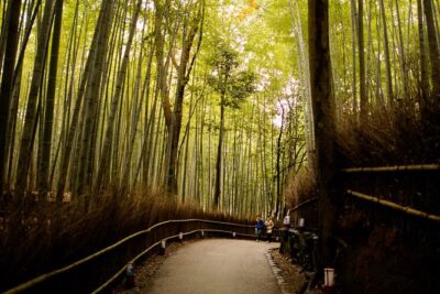 Arashiyama Bamboo Forest E-Biking Tour - Otagi Nenbutsu-ji: Laughing Buddhas and Fun Surprises