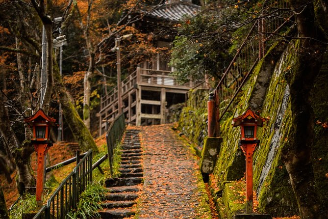 Arashiyama Bamboo Forest E-Biking Tour - Arashiyama Bamboo Forest Trail: Park, Walk, Then Breathe