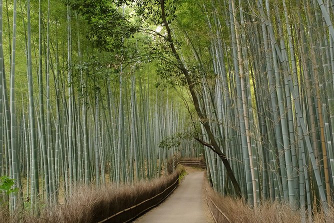Arashiyama Bamboo Forest E-Biking Tour - The 25km Route: More Kyoto Than Foot Travel