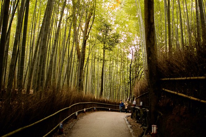 Arashiyama Bamboo Forest E-Biking Tour - Otagi Nenbutsu-ji: Laughing Buddhas and Fun Surprises