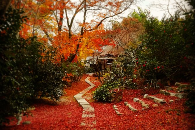 Arashiyama Bamboo Forest & Hidden Gems Bike Tour (Early Bird) - Cycling Arashiyama backstreets: temples, shrines, and quieter lanes
