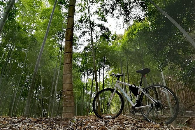 Arashiyama Bamboo Forest & Hidden Gems Bike Tour (Early Bird) - Togetsukyo Bridge: the photo payoff with mountain views