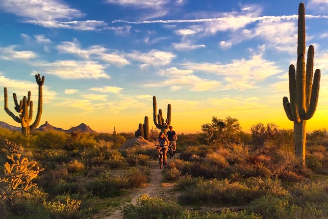 Arizona Desert Guided E-Bike Adventure - Key things that make this ride work in the Sonoran Desert